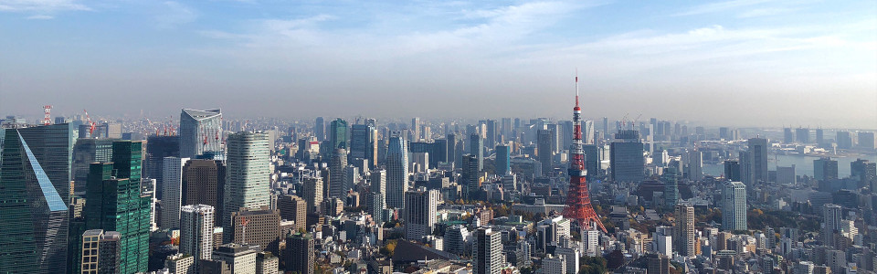 【所沢市】相続税対策で不動産を活用するメリット・デメリットと活用事例